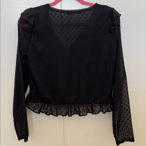Zara Sheer Ruffle Blouse - Picture 5 of 5